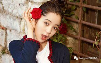 娱乐圈吃瓜资深少女文